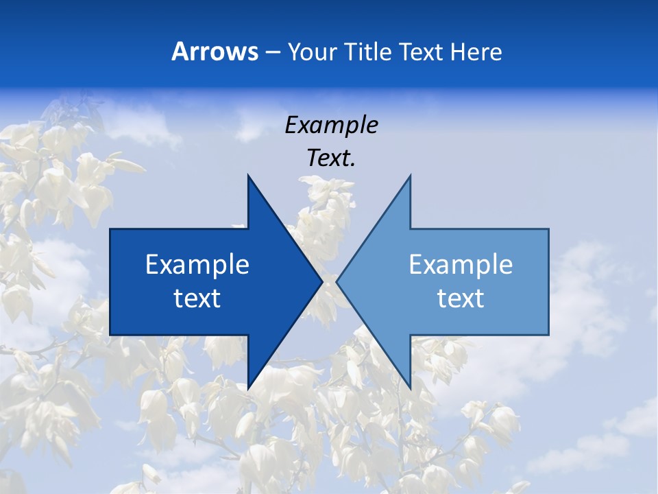 Beautiful Flower Yucca. Closeup PowerPoint Template