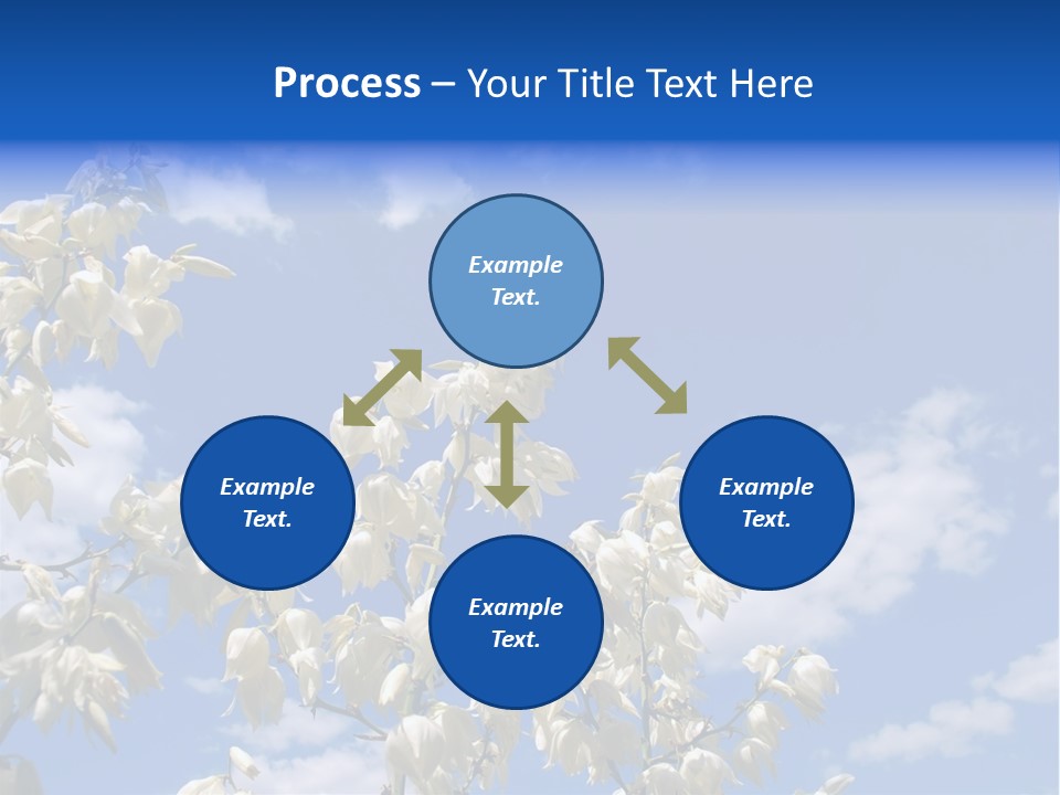 Beautiful Flower Yucca. Closeup PowerPoint Template