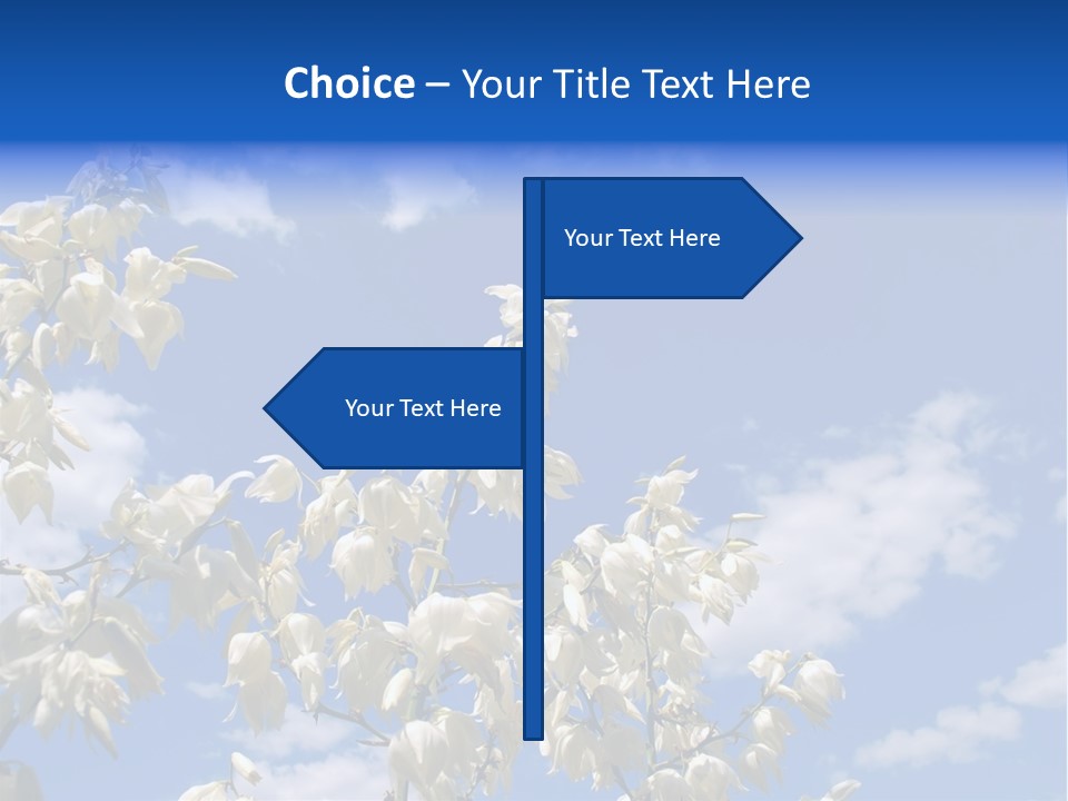 Beautiful Flower Yucca. Closeup PowerPoint Template