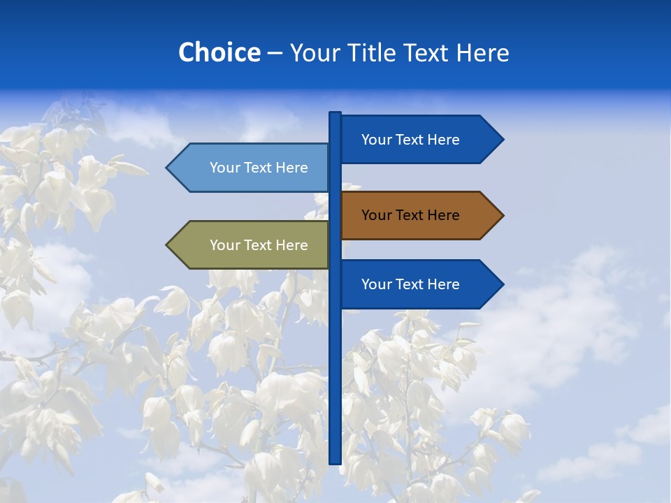 Beautiful Flower Yucca. Closeup PowerPoint Template