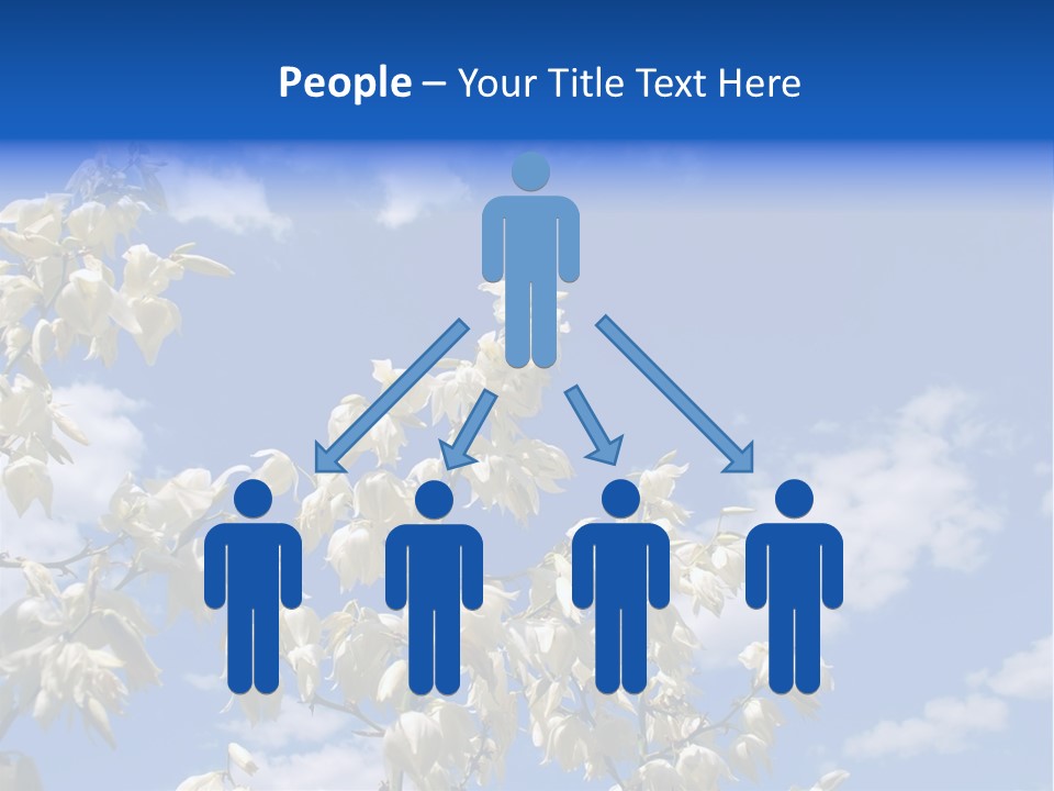 Beautiful Flower Yucca. Closeup PowerPoint Template