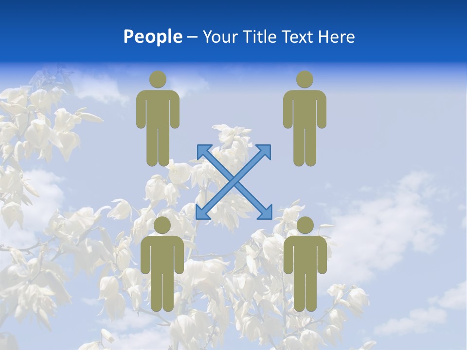 Beautiful Flower Yucca. Closeup PowerPoint Template