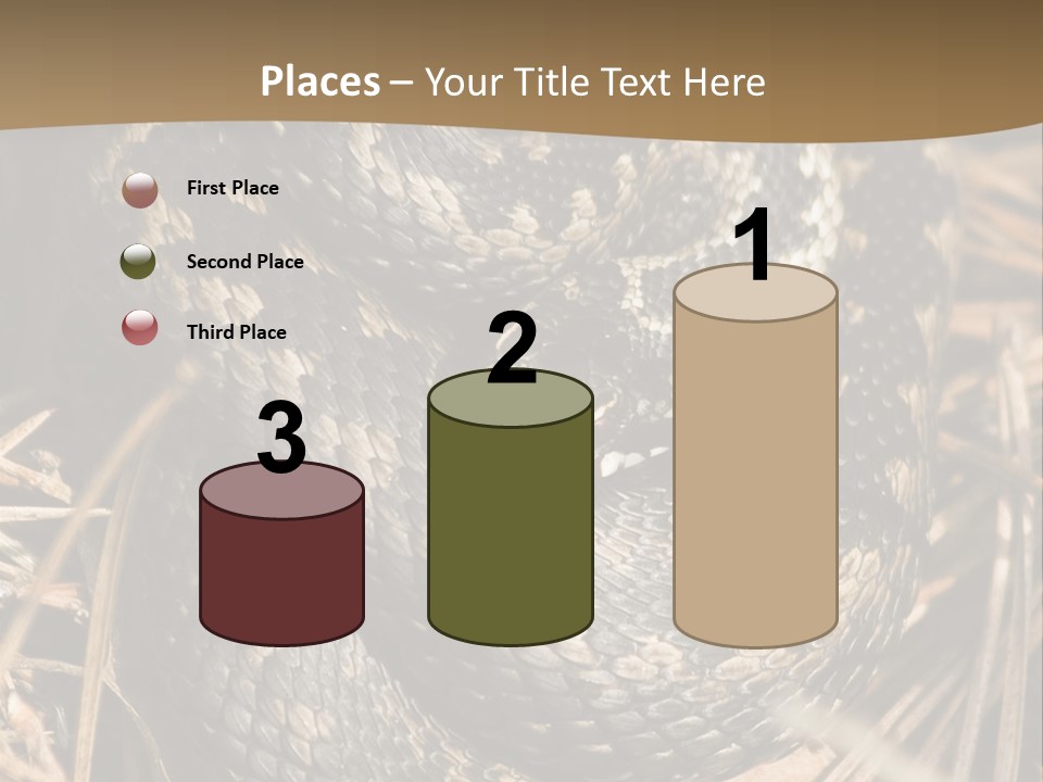 Adder Wound Into A Ball PowerPoint Template