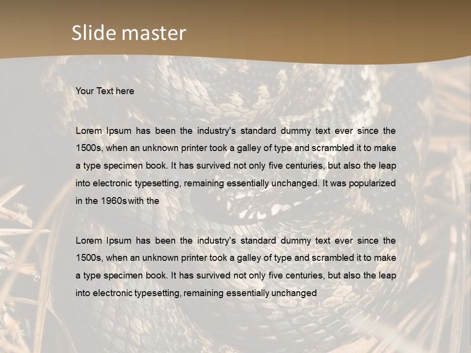 Adder Wound Into A Ball PowerPoint Template