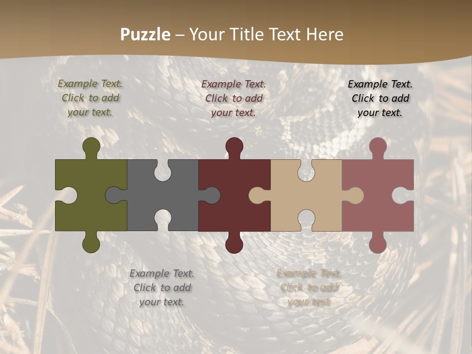 Adder Wound Into A Ball PowerPoint Template