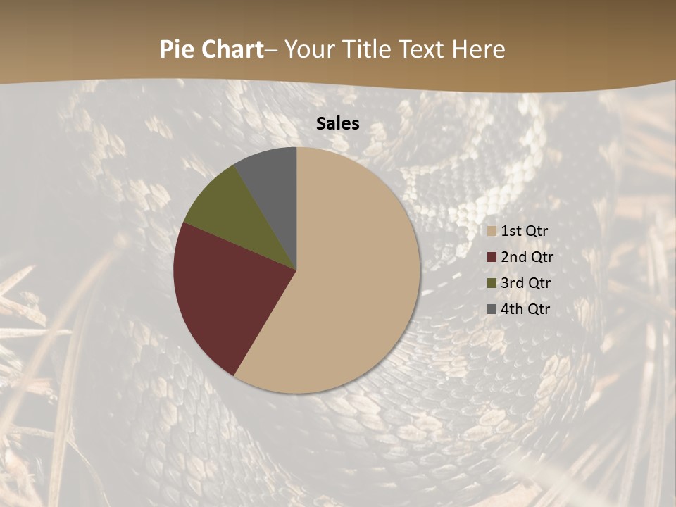 Adder Wound Into A Ball PowerPoint Template