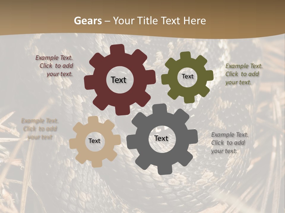 Adder Wound Into A Ball PowerPoint Template