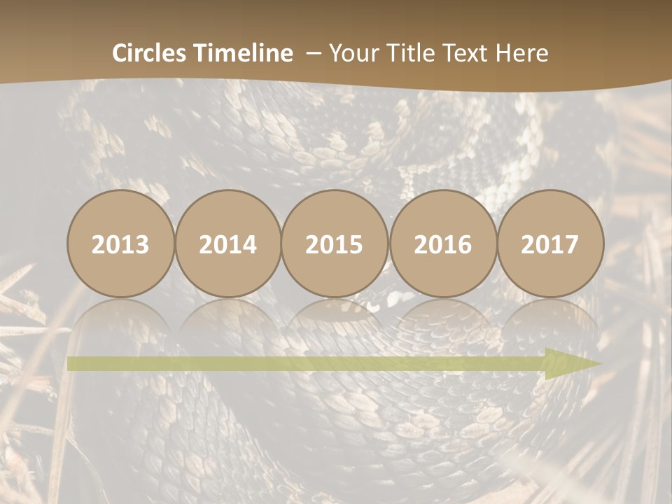 Adder Wound Into A Ball PowerPoint Template