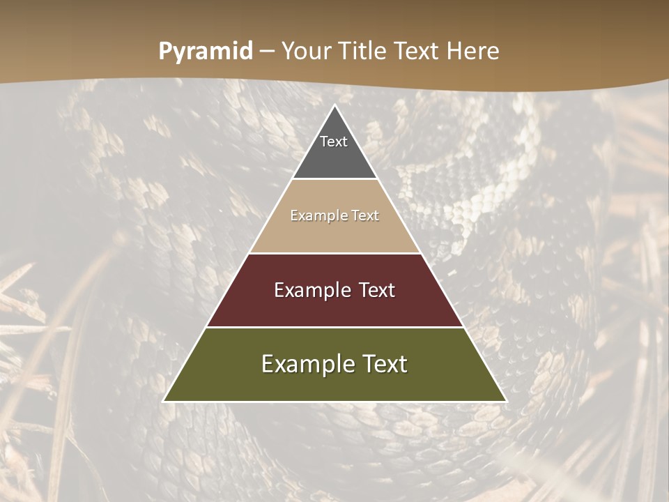 Adder Wound Into A Ball PowerPoint Template