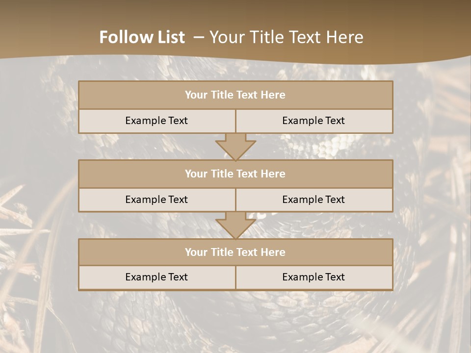 Adder Wound Into A Ball PowerPoint Template