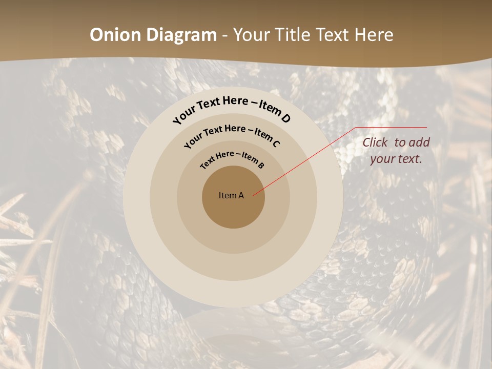 Adder Wound Into A Ball PowerPoint Template