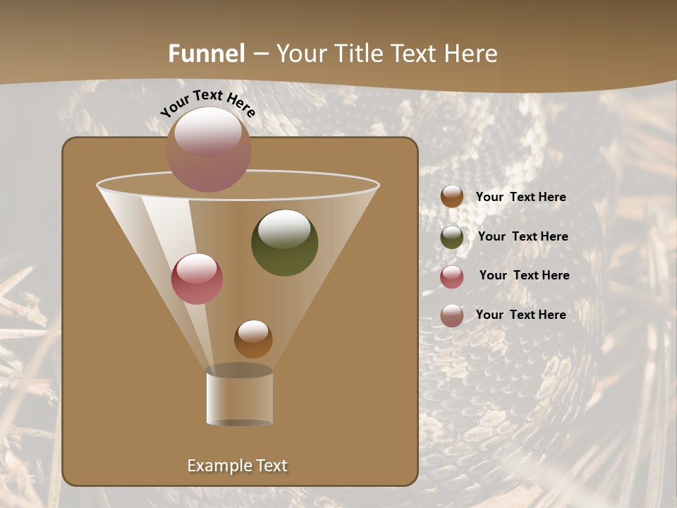 Adder Wound Into A Ball PowerPoint Template