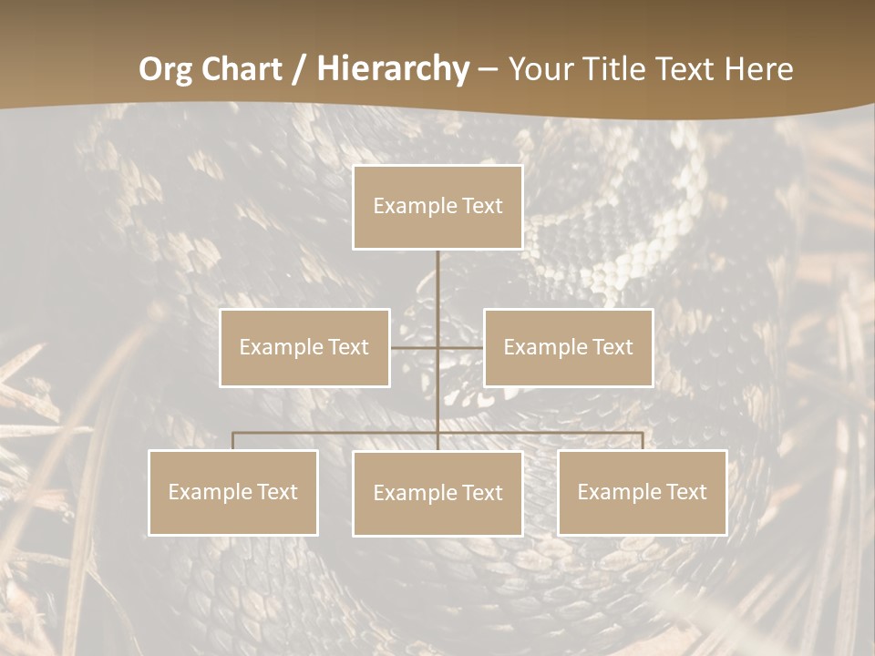 Adder Wound Into A Ball PowerPoint Template