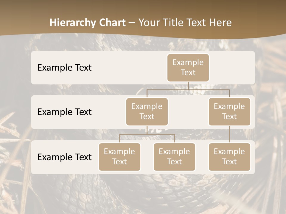 Adder Wound Into A Ball PowerPoint Template