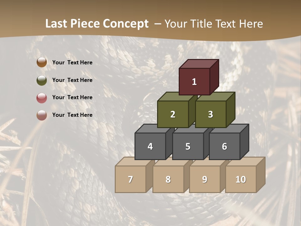 Adder Wound Into A Ball PowerPoint Template