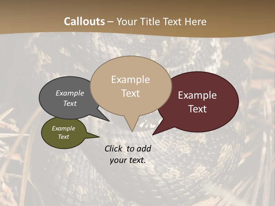 Adder Wound Into A Ball PowerPoint Template