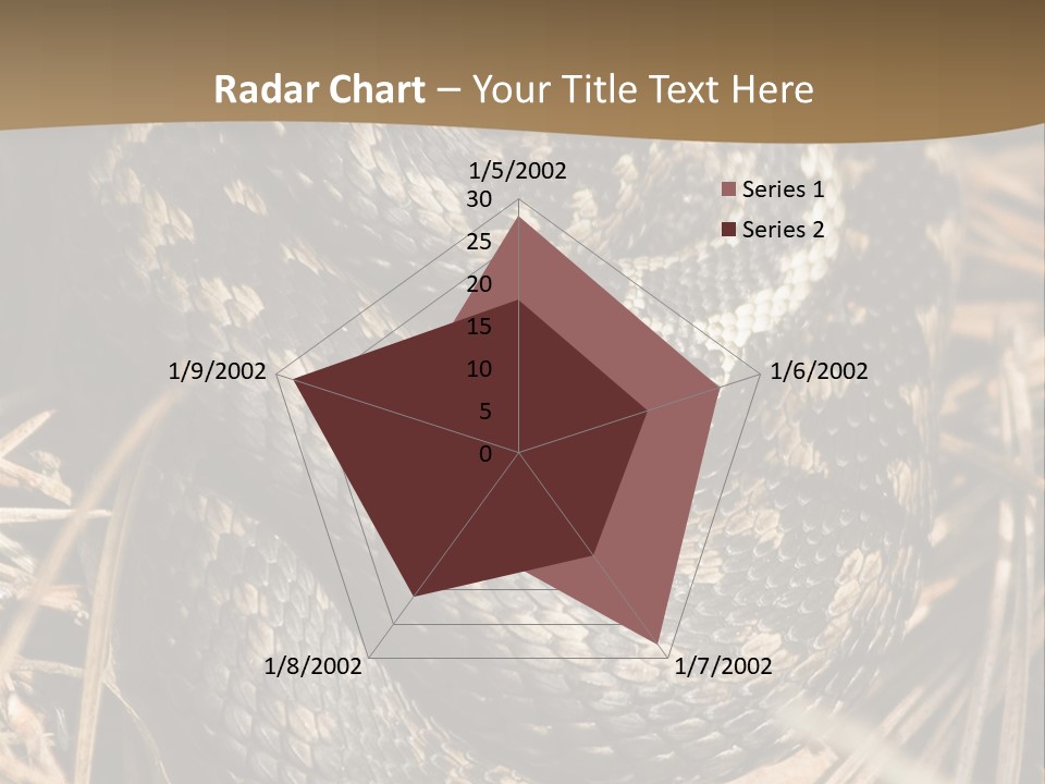 Adder Wound Into A Ball PowerPoint Template