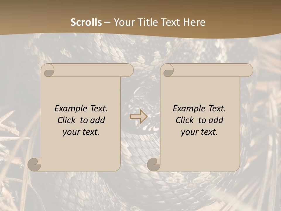 Adder Wound Into A Ball PowerPoint Template
