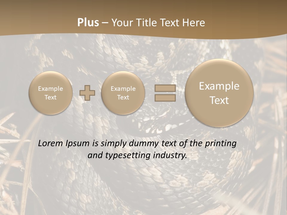 Adder Wound Into A Ball PowerPoint Template