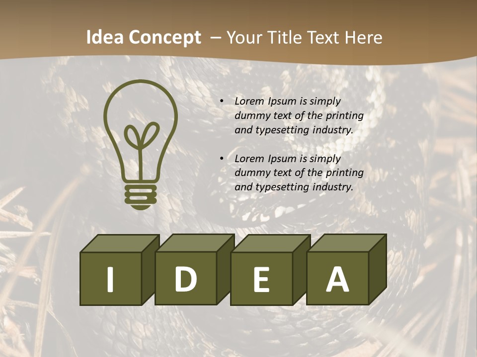 Adder Wound Into A Ball PowerPoint Template