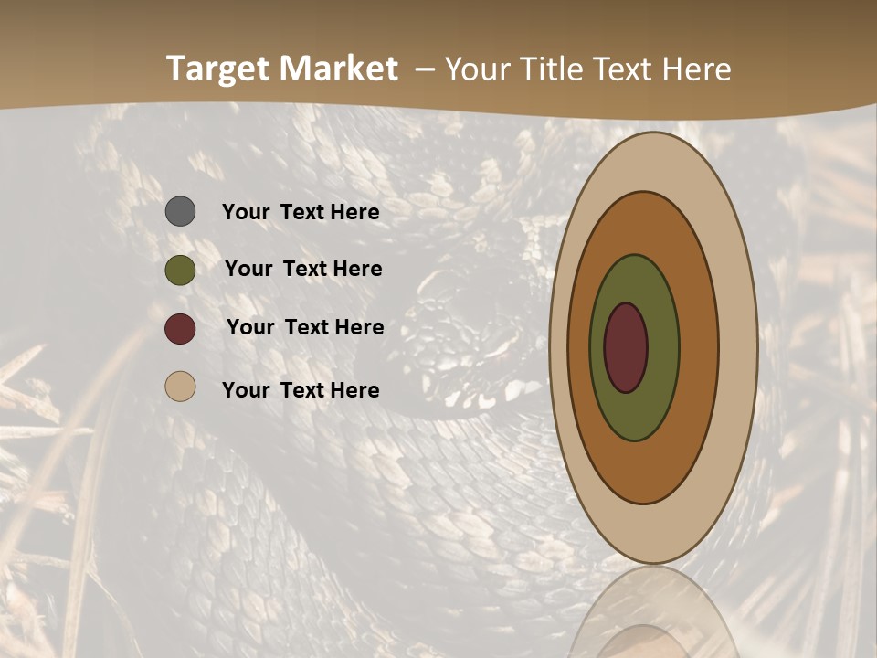 Adder Wound Into A Ball PowerPoint Template