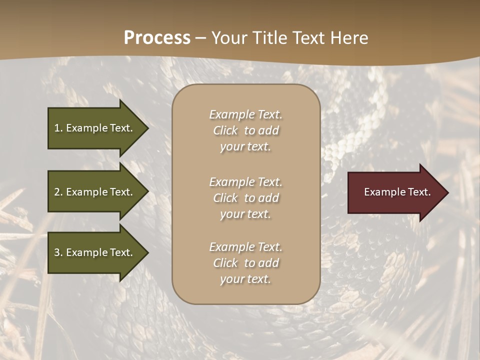 Adder Wound Into A Ball PowerPoint Template