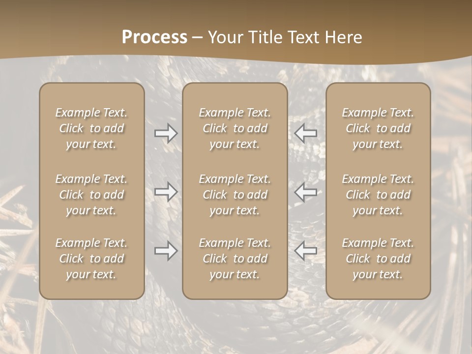 Adder Wound Into A Ball PowerPoint Template