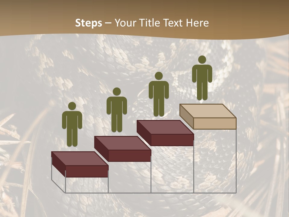 Adder Wound Into A Ball PowerPoint Template