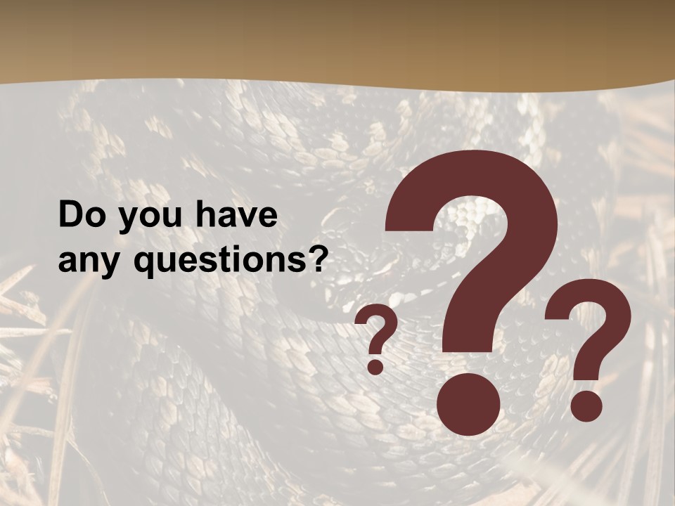 Adder Wound Into A Ball PowerPoint Template