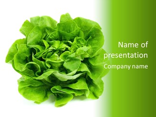 Lettuce PowerPoint Template