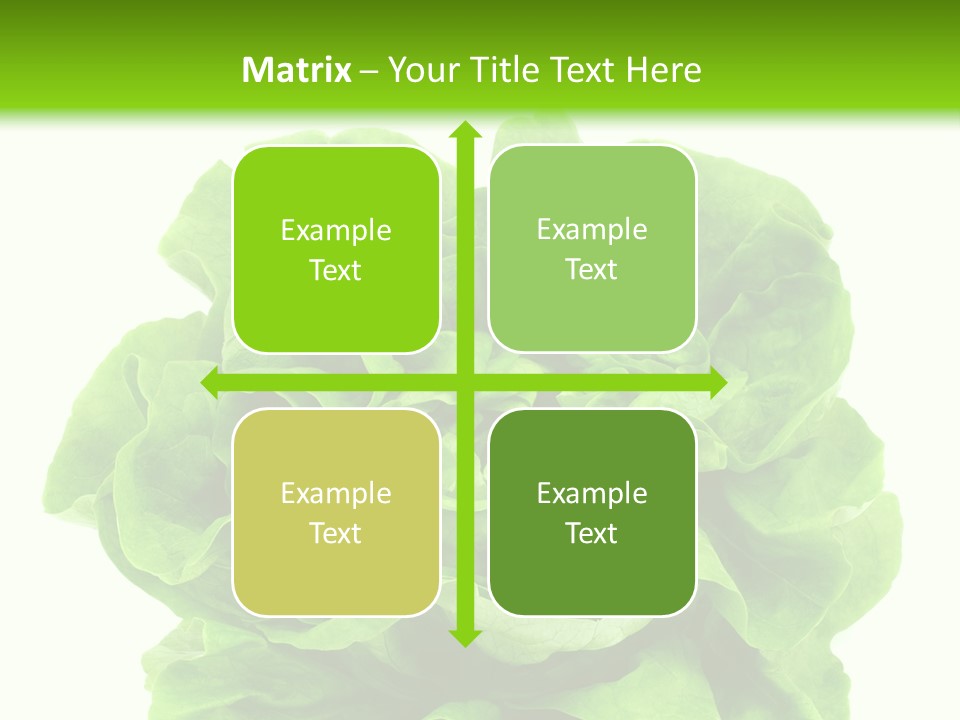 Lettuce PowerPoint Template