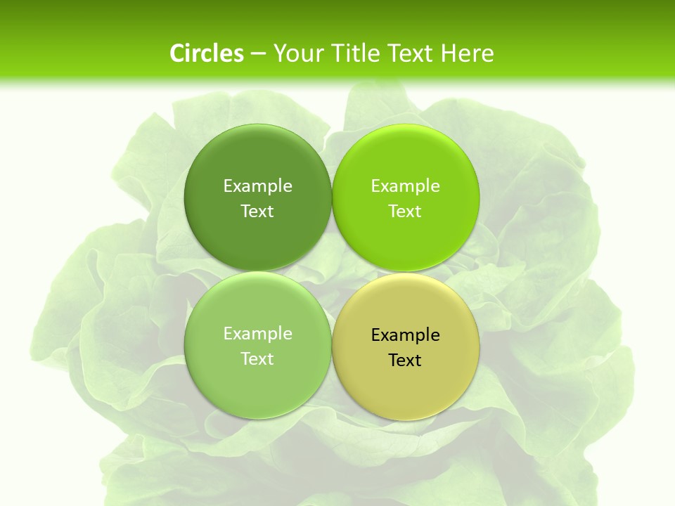 Lettuce PowerPoint Template