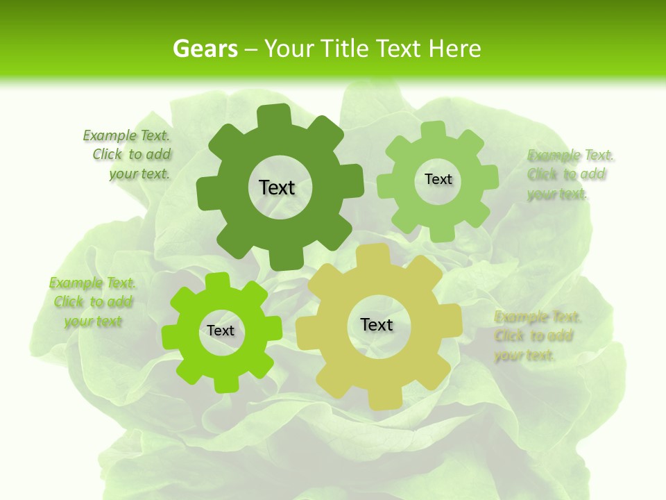 Lettuce PowerPoint Template