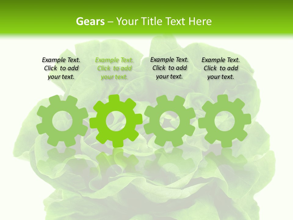 Lettuce PowerPoint Template
