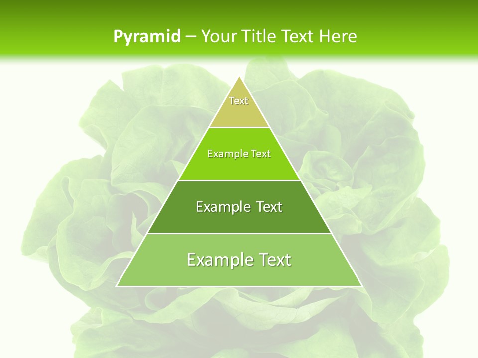 Lettuce PowerPoint Template