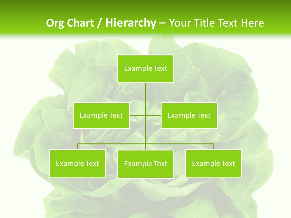 Lettuce PowerPoint Template