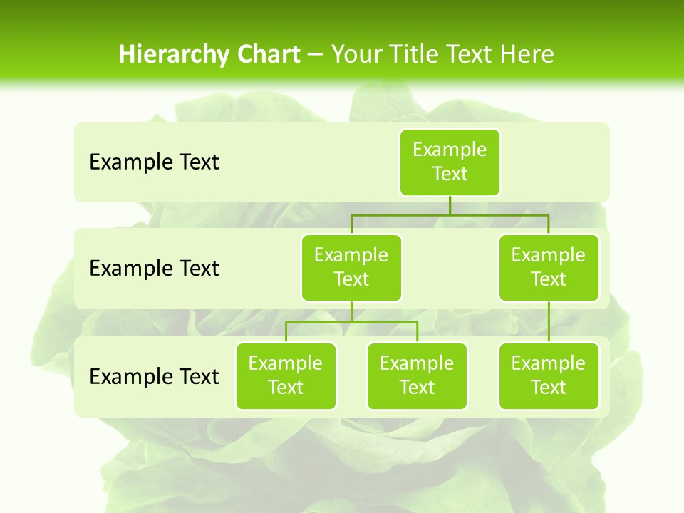 Lettuce PowerPoint Template