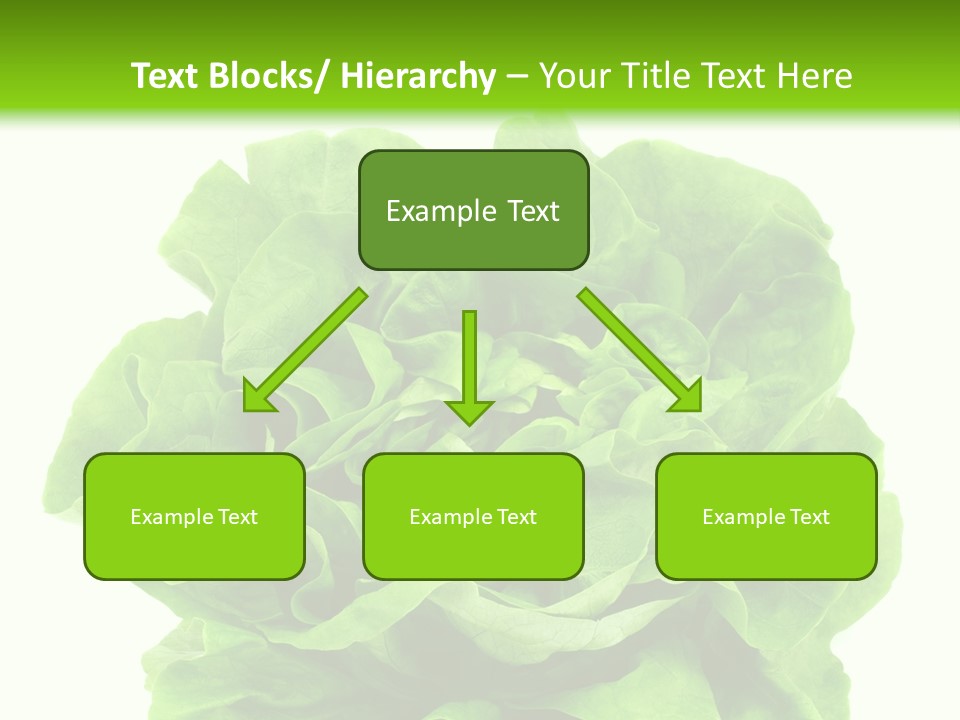 Lettuce PowerPoint Template