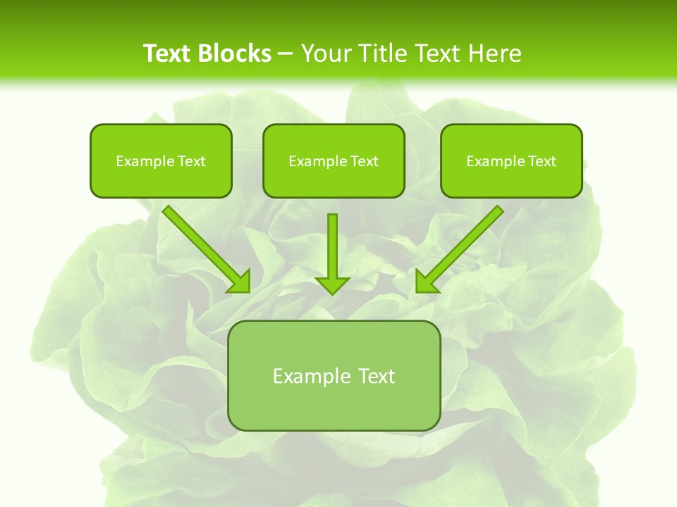 Lettuce PowerPoint Template