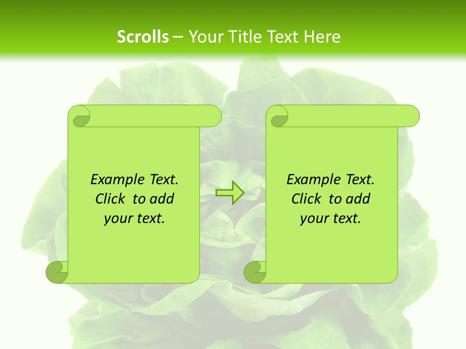 Lettuce PowerPoint Template