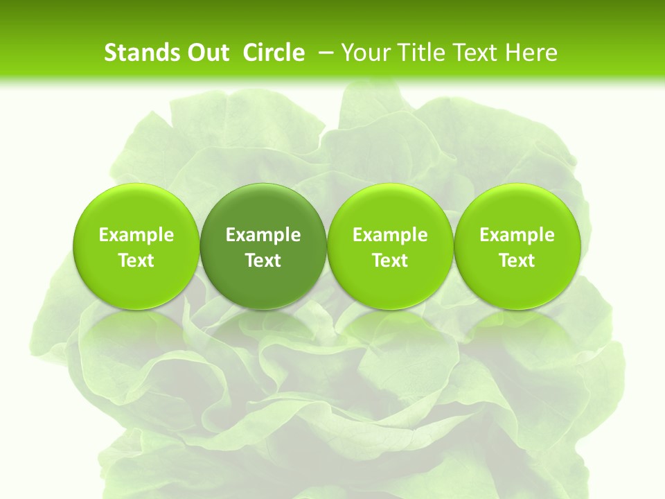 Lettuce PowerPoint Template