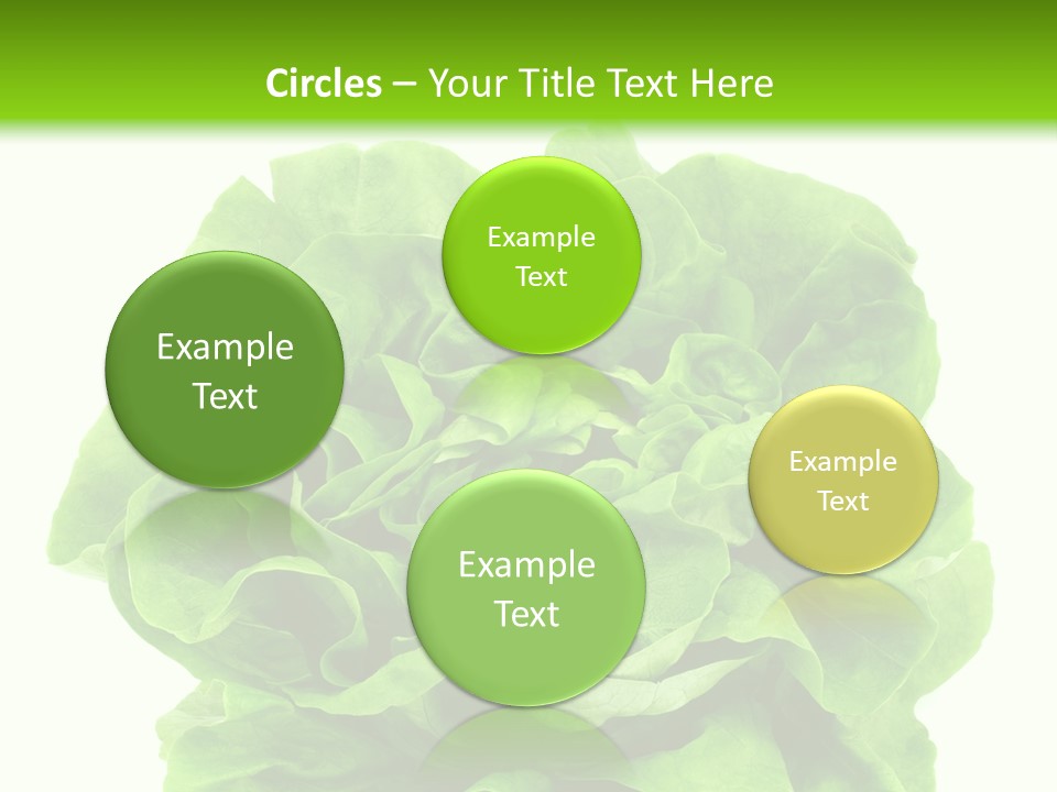 Lettuce PowerPoint Template
