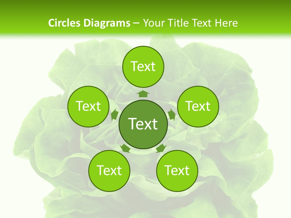 Lettuce PowerPoint Template