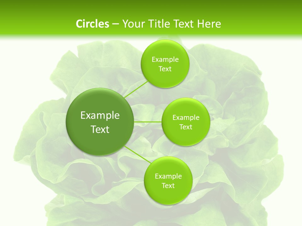 Lettuce PowerPoint Template