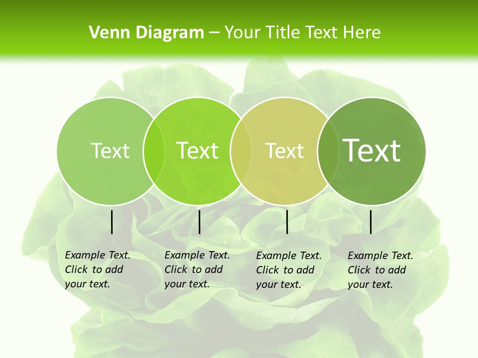 Lettuce PowerPoint Template