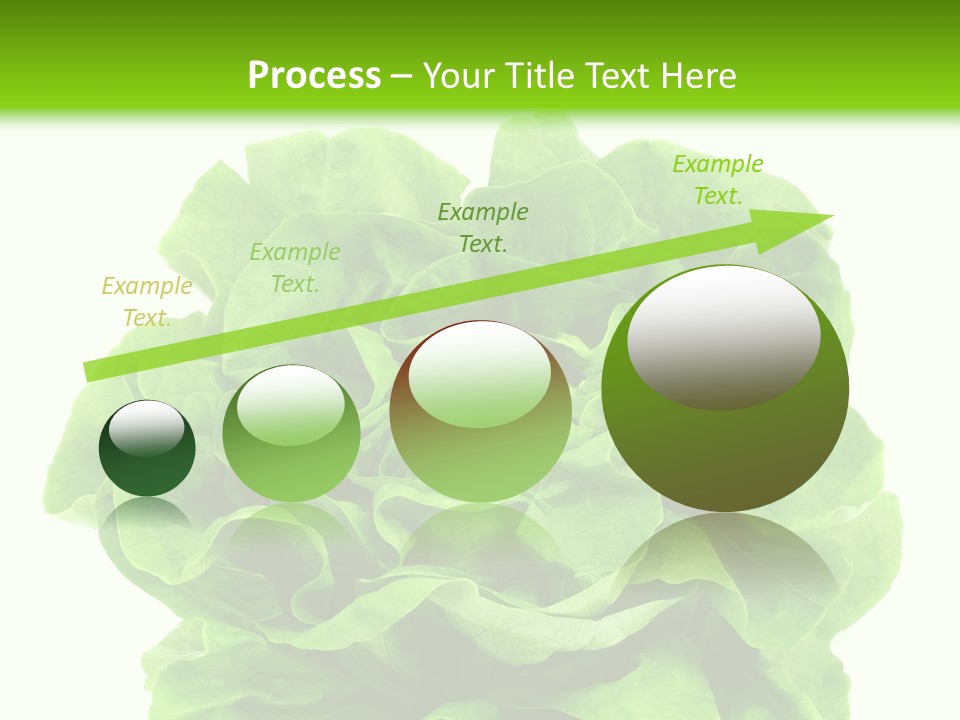 Lettuce PowerPoint Template