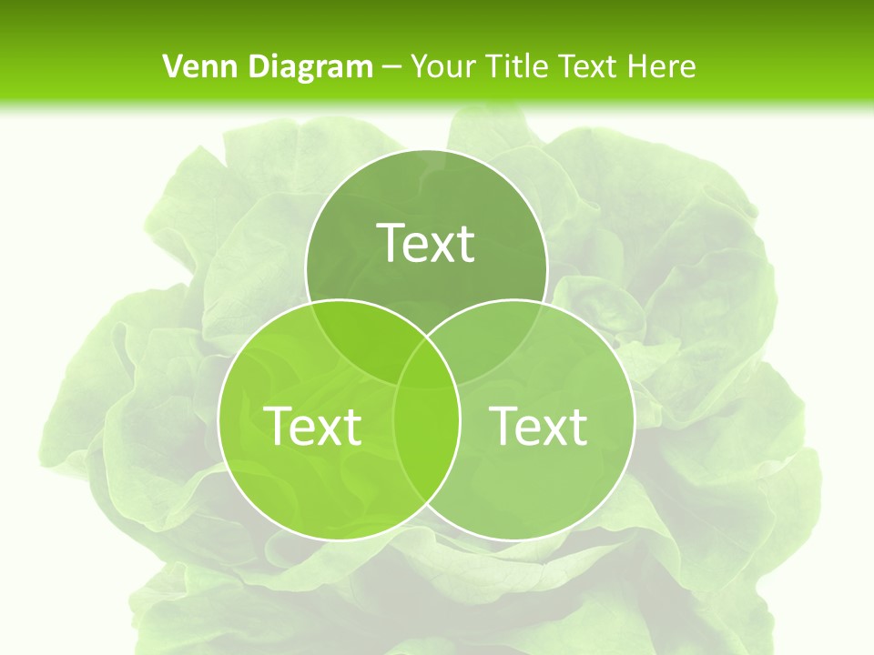 Lettuce PowerPoint Template