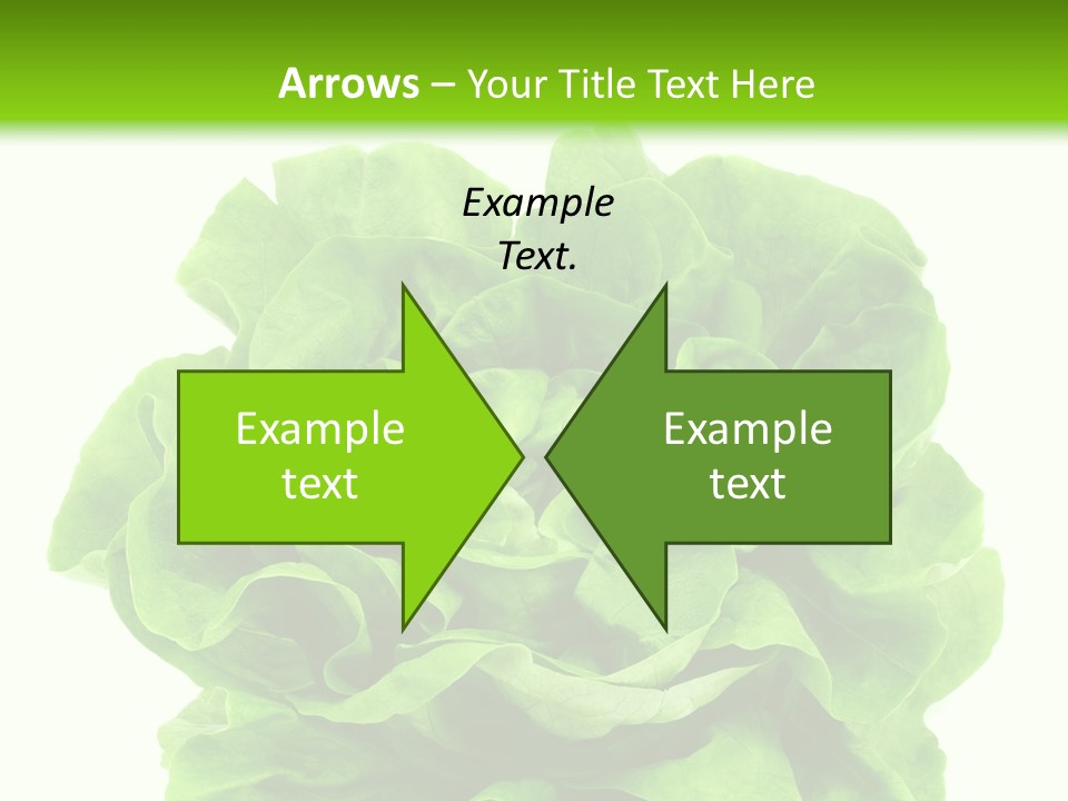 Lettuce PowerPoint Template
