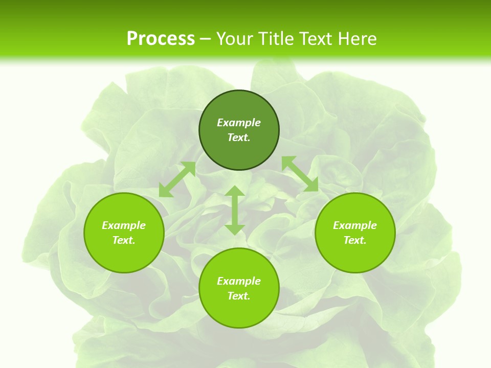 Lettuce PowerPoint Template