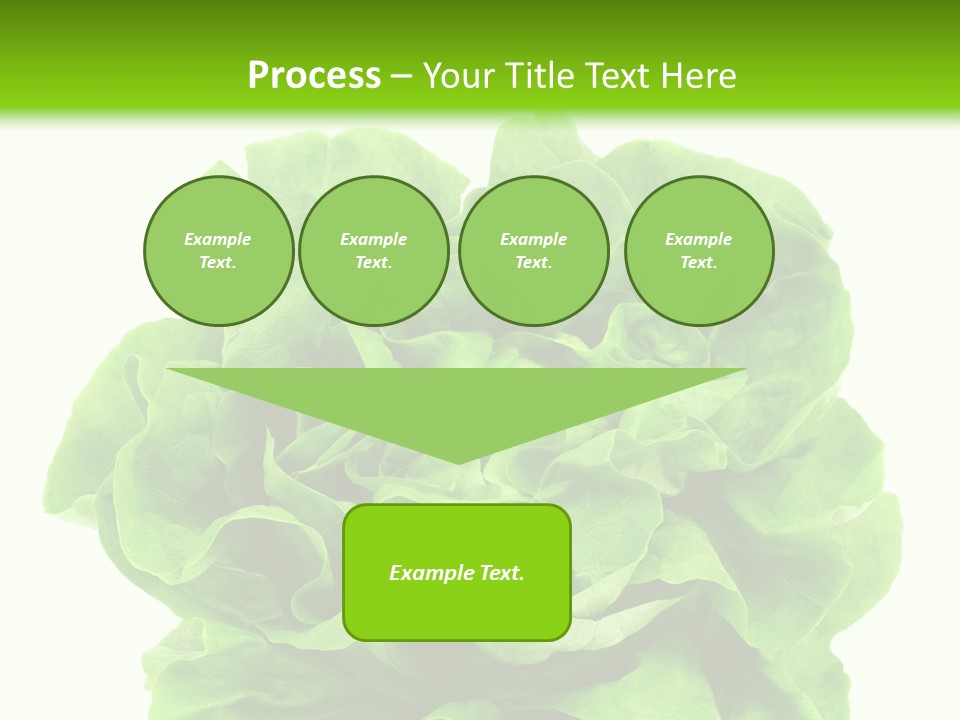 Lettuce PowerPoint Template